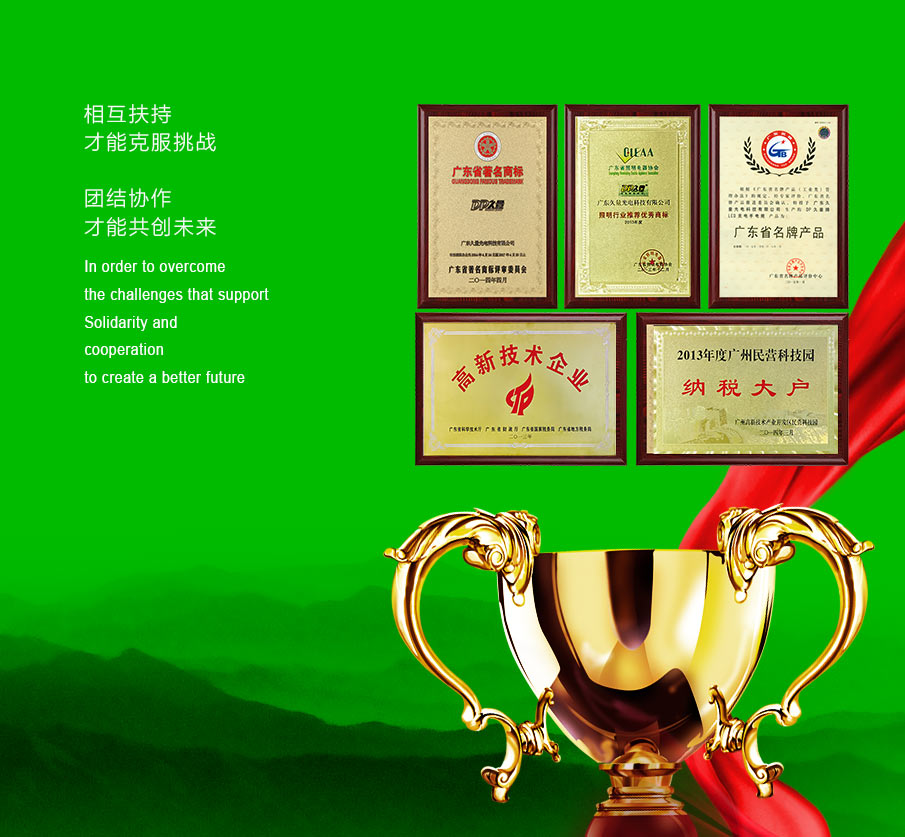 廣東久量股份有限公司企業榮譽